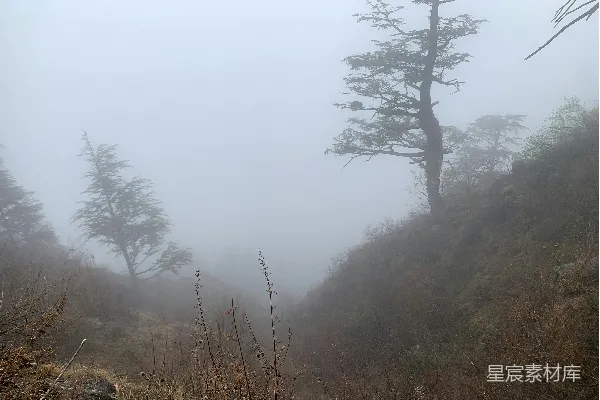 高清摄影 雾中的山林