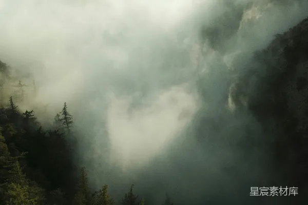高清摄影 云雾缭绕的山间森林