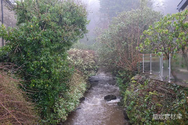 高清摄影 雨中溪流