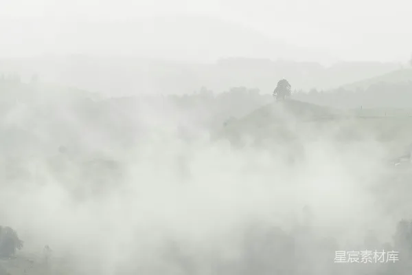 高清摄影 雾中风景