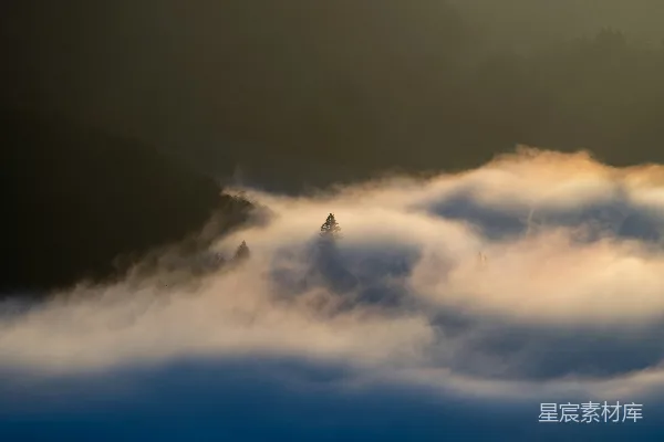 高清摄影 晨雾中的森林