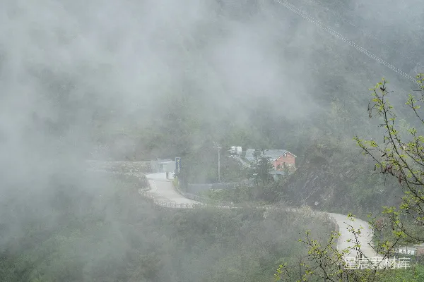 高清摄影 雾中山间小路