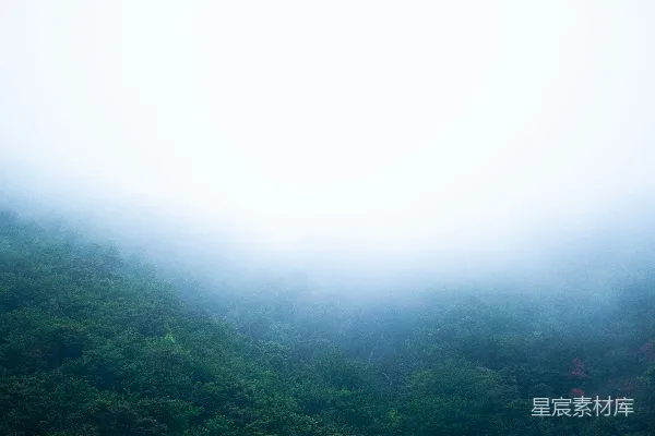 高清摄影 雾中的森林