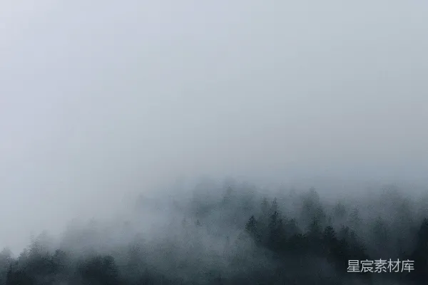 高清摄影 雾中森林