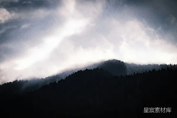 高清摄影 云雾缭绕的山林