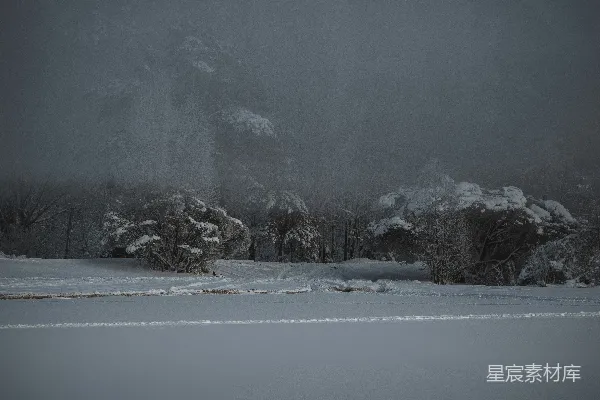 高清摄影 冬日雪景