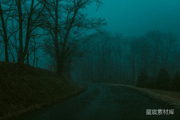 高清摄影 寂静的乡村小路