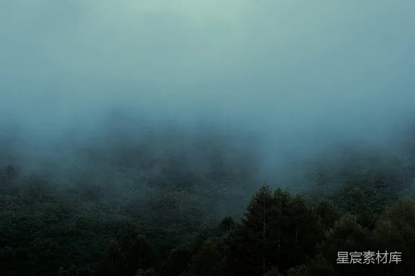 高清摄影 雾中的森林