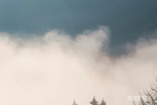 高清摄影 雾中森林