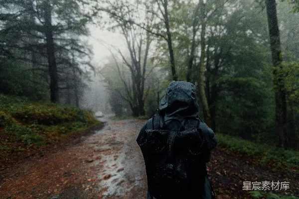 高清摄影 雨中森林的孤独旅人