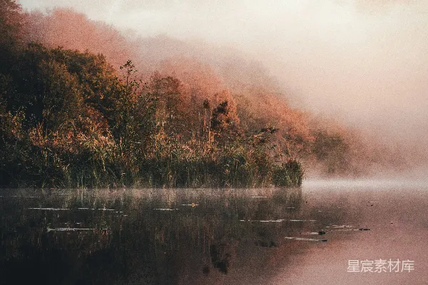 高清摄影 晨雾中的宁静湖景