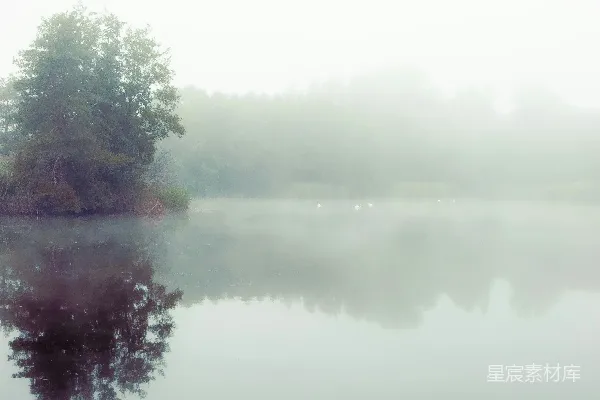 高清摄影 晨雾中的宁静湖景