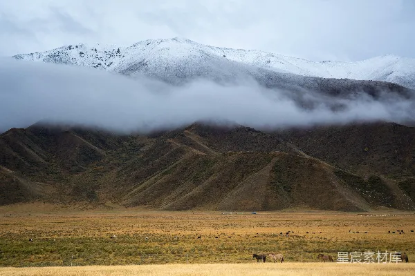 高清摄影 云雾缭绕的雪山草原