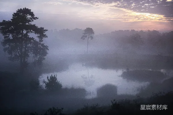 高清摄影 晨雾中的静谧湖景