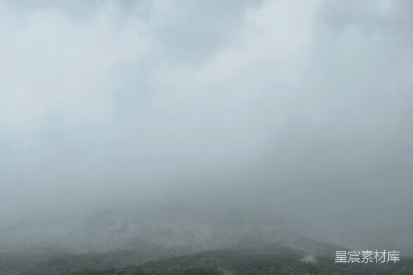 高清摄影 雾中森林