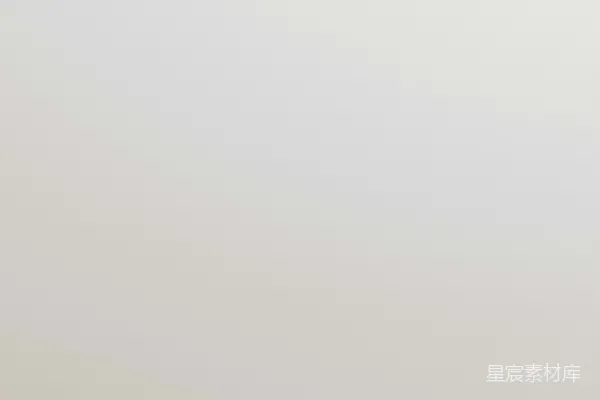 高清摄影 雾中的孤独漫步者