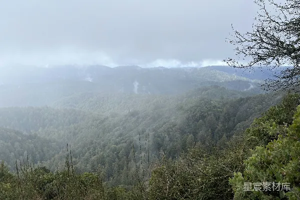 高清摄影 雾中的山林景色
