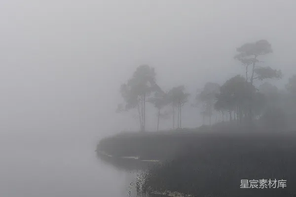 高清摄影 雾中的宁静湖岸