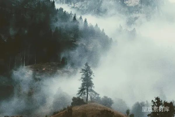 高清摄影 雾中森林与山峰