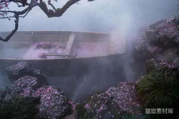 高清摄影 雾中樱花温泉