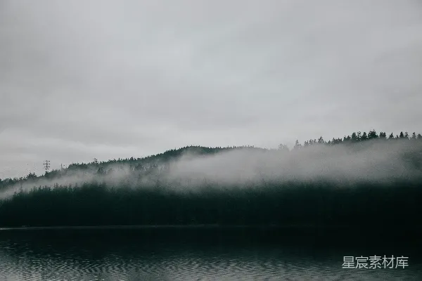 高清摄影 雾中的湖畔森林