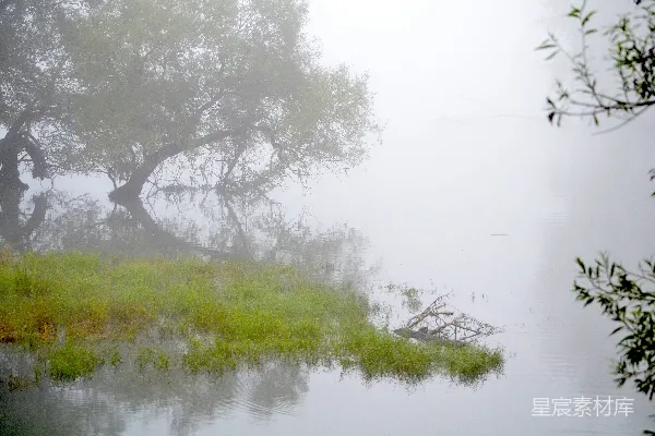 高清摄影 晨雾中的静谧湖景