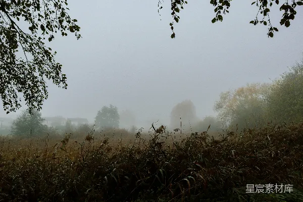 高清摄影 晨雾中的乡村风景