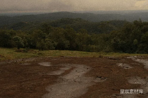 高清摄影 雨后山林的宁静