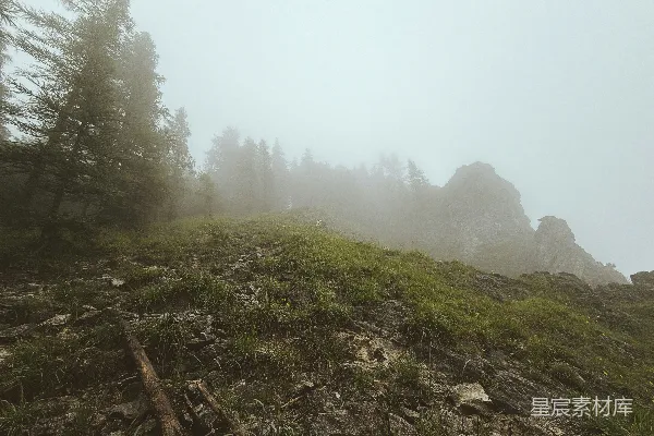 高清摄影 雾中的山间小径
