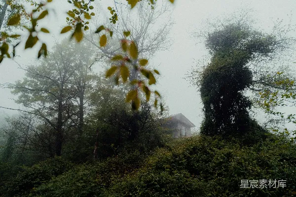 高清摄影 雾中的小屋