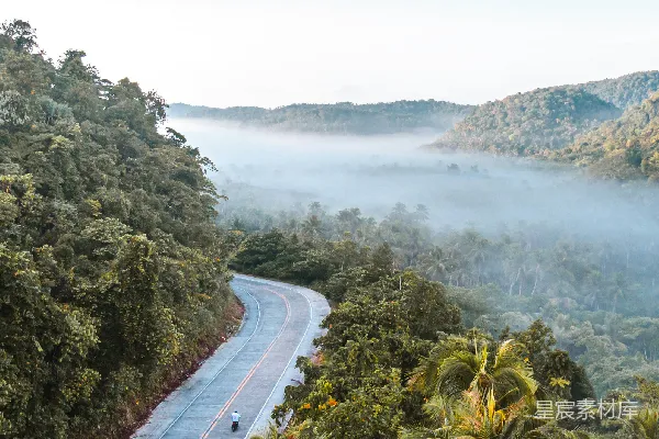 高清摄影 清晨的丛林公路