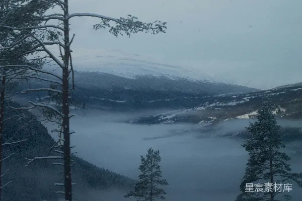 高清摄影 冬日山林雾景