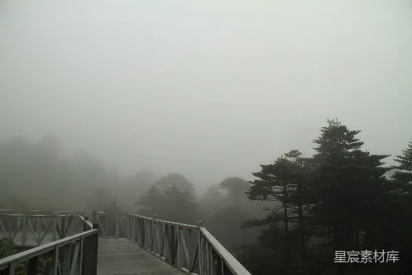 高清摄影 雾中栈道