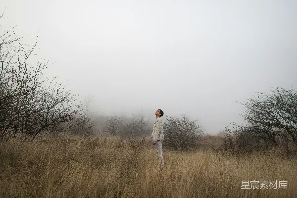 高清摄影 雾中独行者