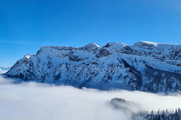 高清摄影 雪峰之巅，云海环绕