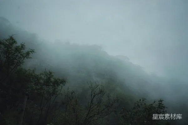 高清摄影 雾中的山林