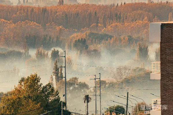 高清摄影 晨雾中的城市景色