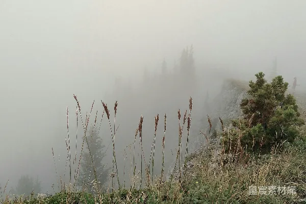 高清摄影 雾中静谧的山景