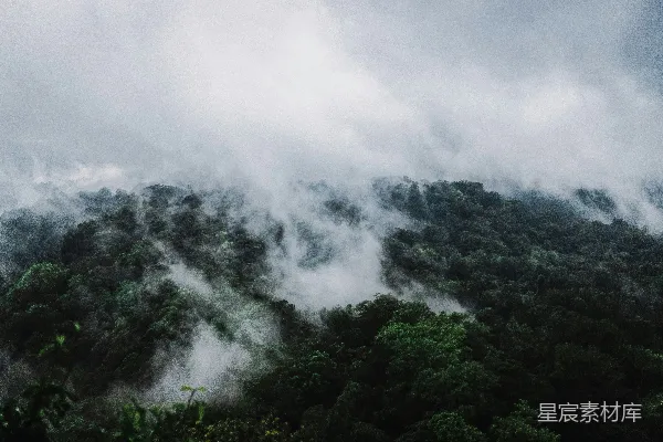 高清摄影 云雾缭绕的山林
