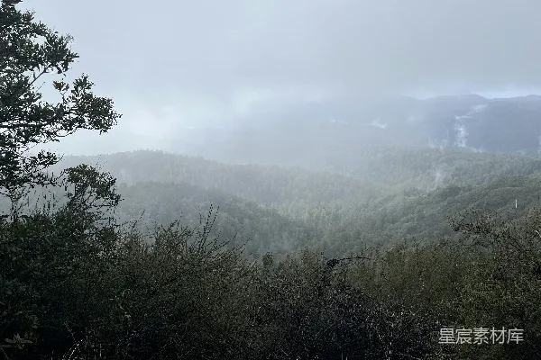 高清摄影 雾中森林