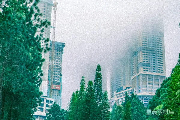 高清摄影 雾中城市与绿树
