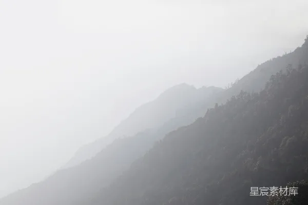 高清摄影 雾中的山林