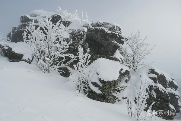 高清摄影 雪景中的岩石