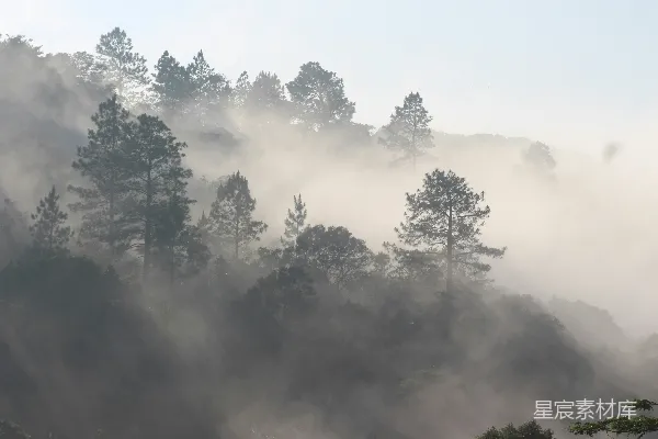 高清摄影 雾绕山林
