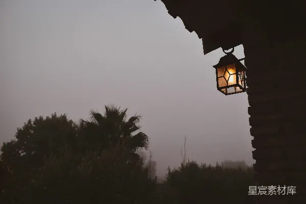 高清摄影 雾中温暖的街灯