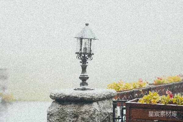 高清摄影 雨中的复古灯与花坛