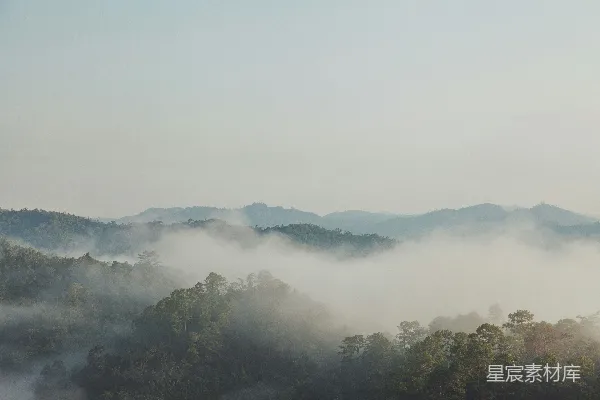 高清摄影 晨雾中的山林