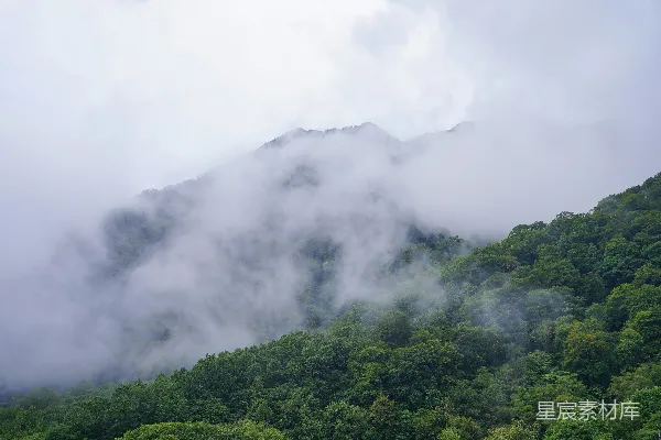 高清摄影 云雾缭绕的山林