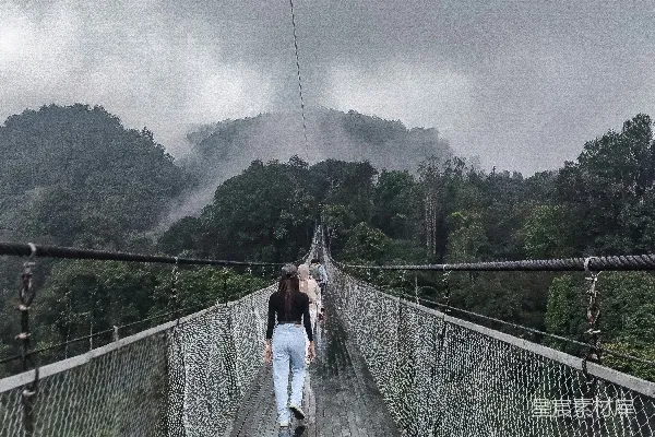 高清摄影 雾中森林吊桥漫步