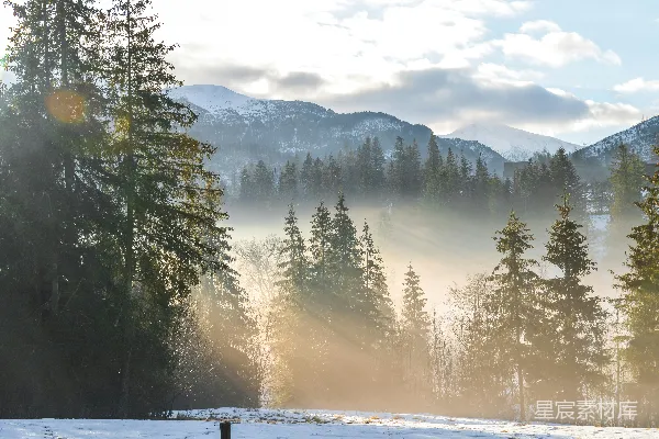 高清摄影 晨光中的雪景